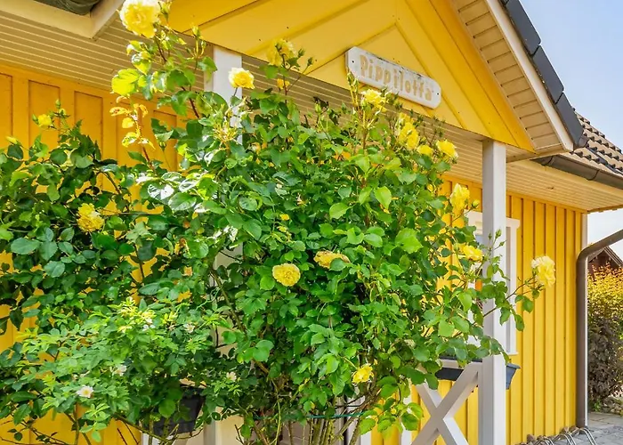 Pippilotta Hébergement de vacances Kronsgaard